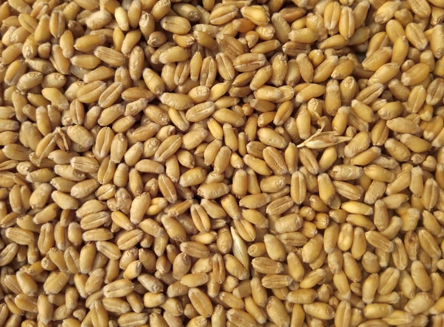 Maize Flour 2kg
