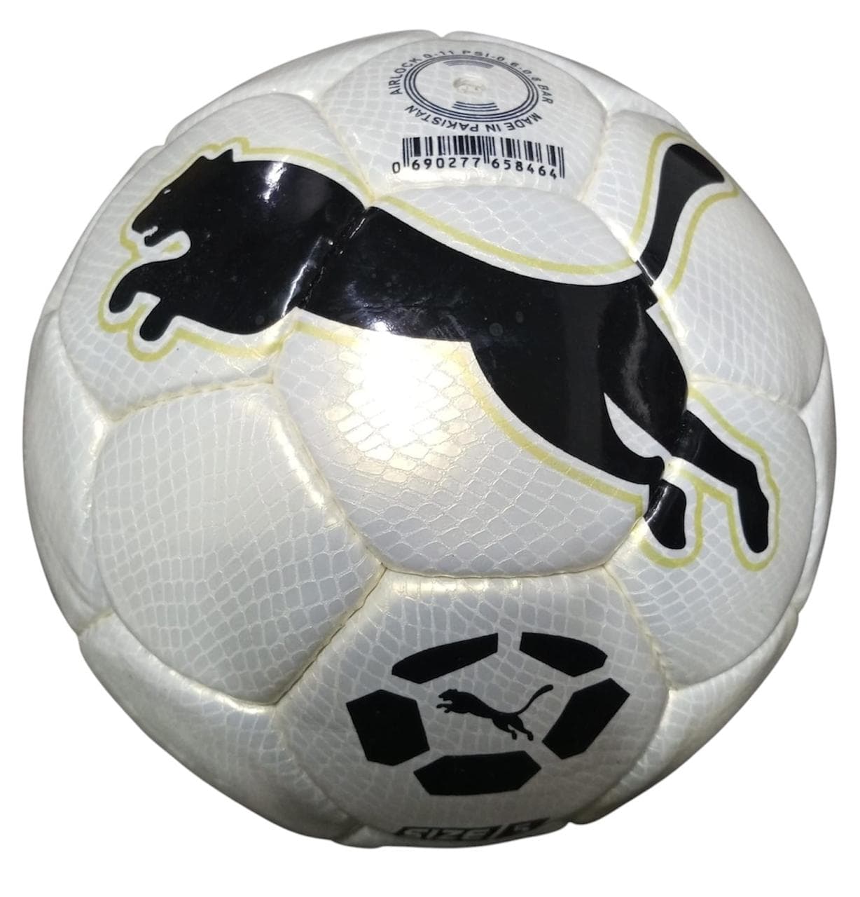 Puma Football – Training & Match Ball size 5