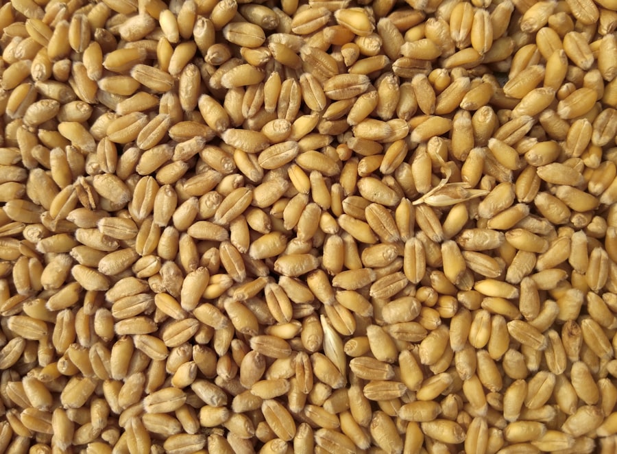 Maize Flour 2kg